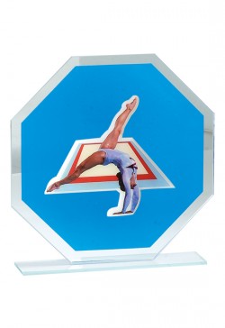 Trophée Personnalisé Applique 122-61-MJ