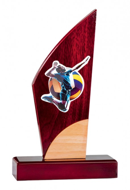 Trophée Personnalisé Applique 122-91-MJ