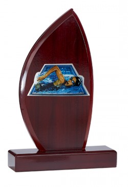 Trophée Personnalisé Applique 123-01-MJ