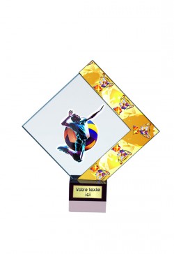 Trophée Personnalisé Applique 14108-MJ