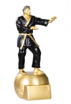 Trophée Judo 71516