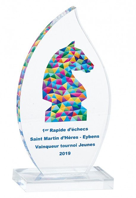 Trophée Plexi Personnalisé 157-01-SU