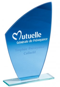 Trophée Verre Personnalisé 162-01-CLI