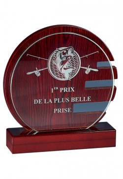 Trophée Verre/Bois Personnalisé 164-01-CLI