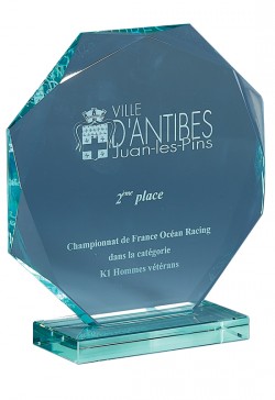 Trophée Verre Personnalisé 169-61-CLI