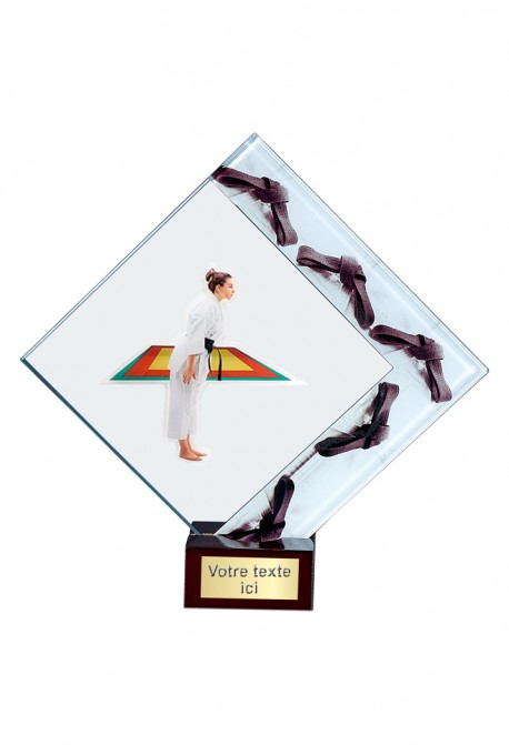 Trophée Judo 14105-MJ68