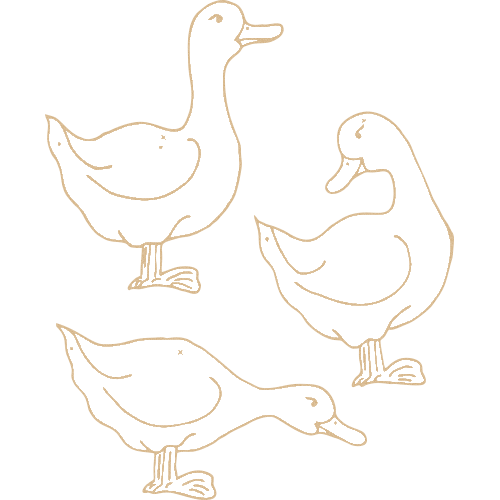 Assiette Personnalisée : 183-51-CLI