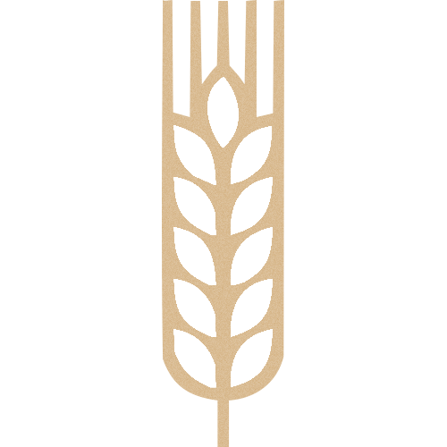 Assiette Personnalisée : 183-31-CLI