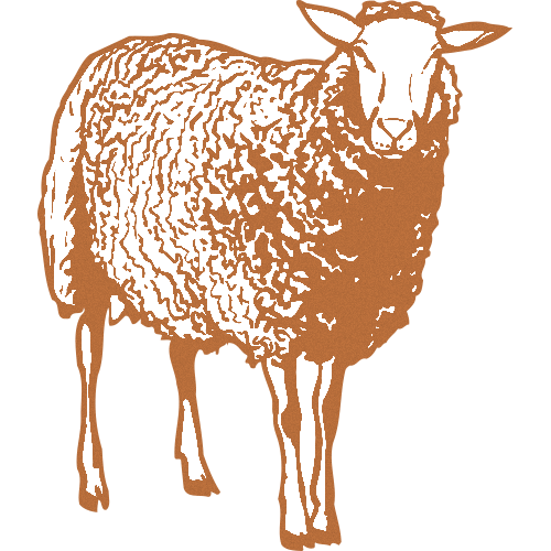 Trophée Bois Personnalisé  : BW01-CLI Trophée Bois Personnalisé  : BW01-CLI