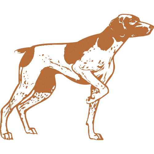 Trophée Bois Personnalisé  : BW11-CLI