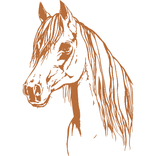 Trophée Bois Personnalisé  : BW11-CLI Trophée Bois Personnalisé  : BW11-CLI