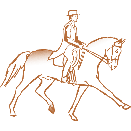 Trophée Bois Personnalisé  : BW11-CLI