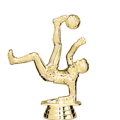 Trophée Personnalisé Figurine 140-15-D