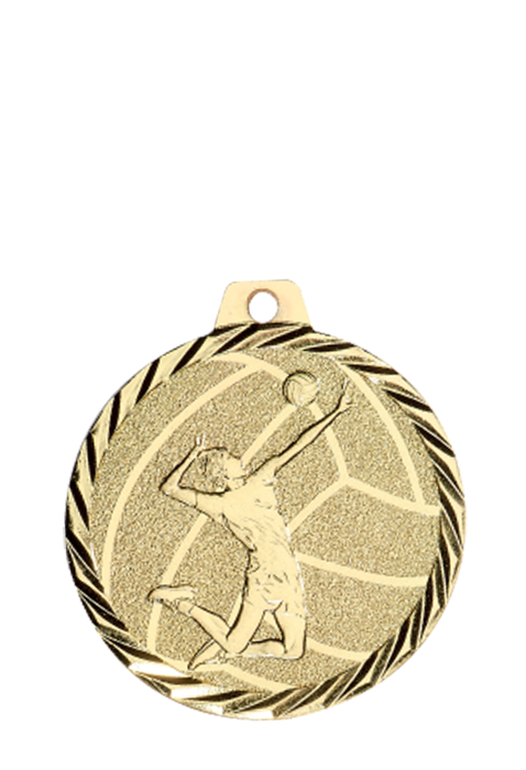 Médaille Ø 50 mm Volley-ball  - NZ24